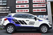 Dán decal tem xe Ford Ecosport - Hình 1