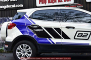 Dán decal tem xe Ford Ecosport - Hình 2