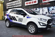 Dán decal tem xe Ford Ecosport - Hình 4