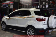 Dán decal tem xe Ford Ecosport - Hình 5