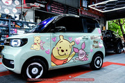 Dán decal tem xe Wuling Hongguang Mini EV - Hình 5