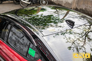 Dán nóc đen xe Honda City - Hình 7