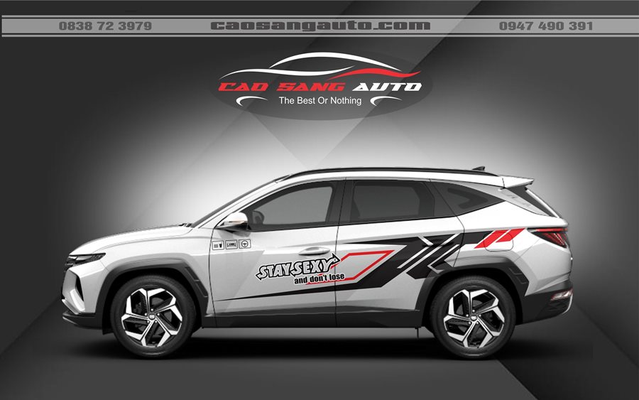 Dán decal tem xe Hyundai Custin